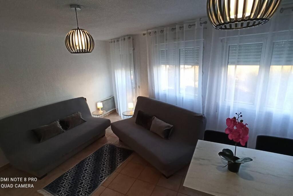 Appartement Face A La Gare آنماس المظهر الخارجي الصورة